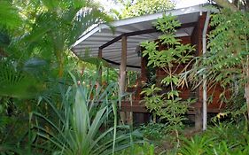 Wollumbin Palms Rainforest Retreat